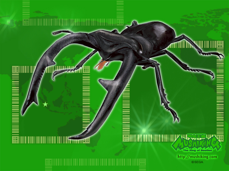 mandibularis-stag-beetle2.jpg